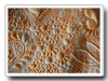 Karen's Quilt